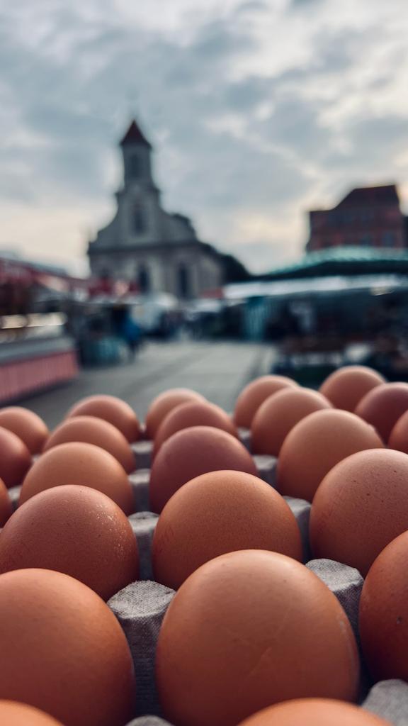 regionale bio eier in ludwigsburg bei physi frühstück